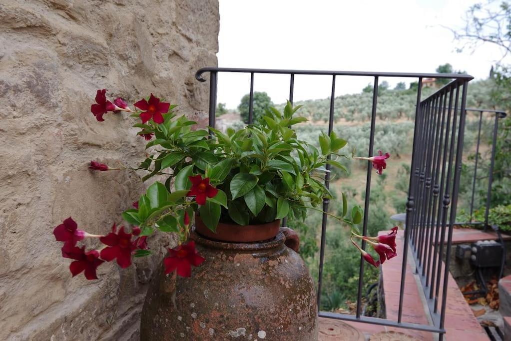 Villa Vestra in Vinci holiday home Esterno foto