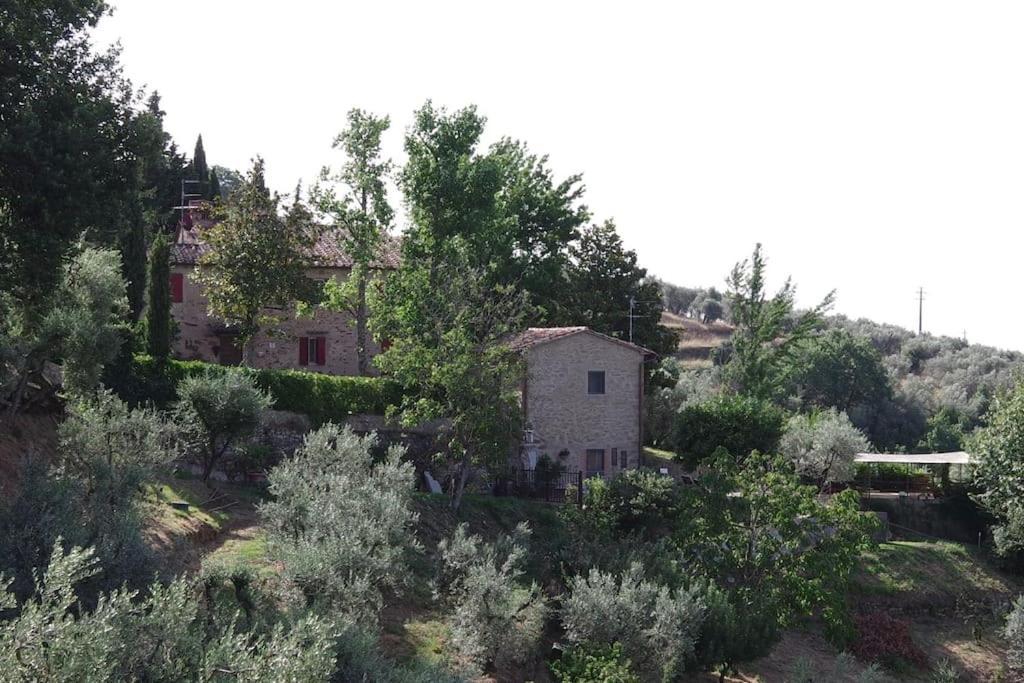 Villa Vestra in Vinci holiday home Esterno foto