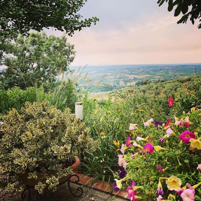 Villa Vestra in Vinci holiday home Esterno foto
