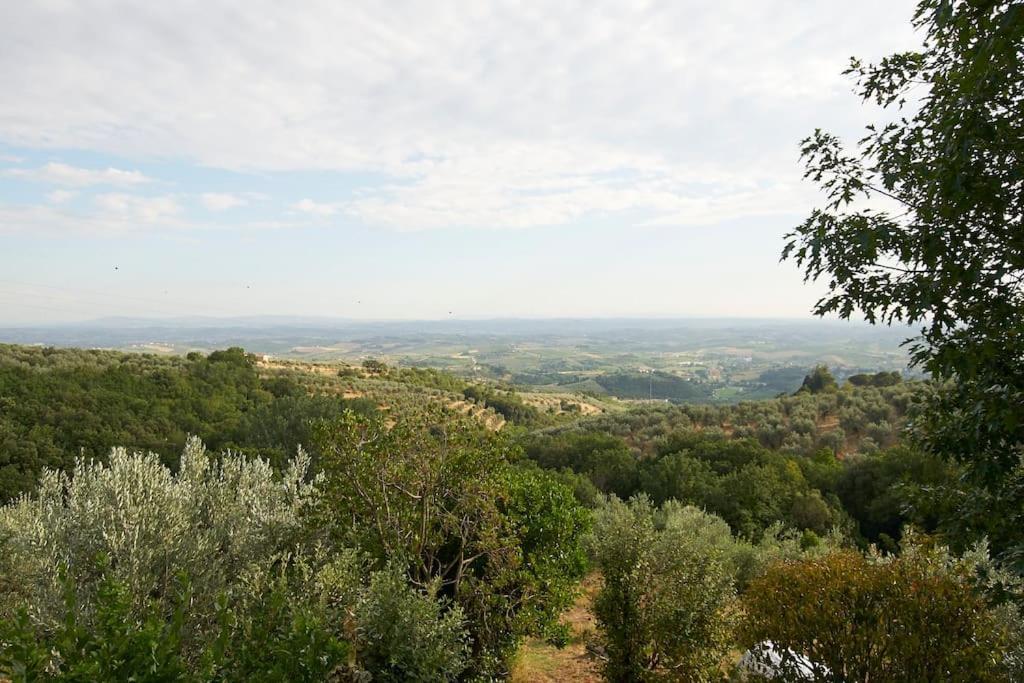 Villa Vestra in Vinci holiday home Esterno foto
