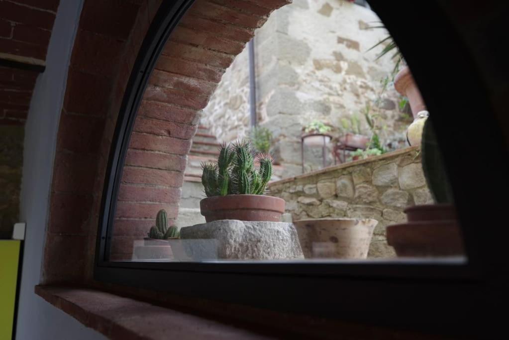Villa Vestra in Vinci holiday home Esterno foto